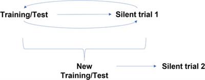 The silent trial - the bridge between bench-to-bedside clinical AI applications